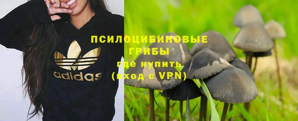 мдпв Киренск