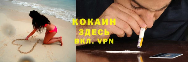 дживик Киреевск