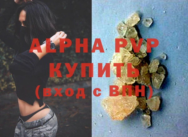 прущие грибы Карпинск