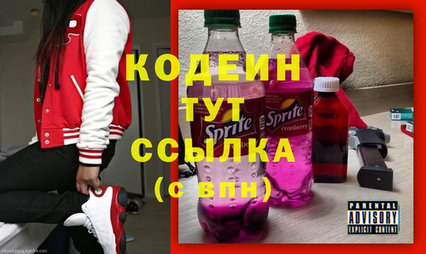 мдпв Киренск