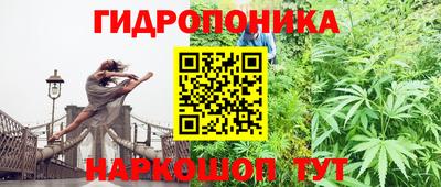 дживик Абинск