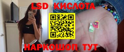 гашик Кинель