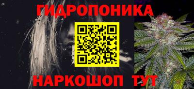 гашик Кинель