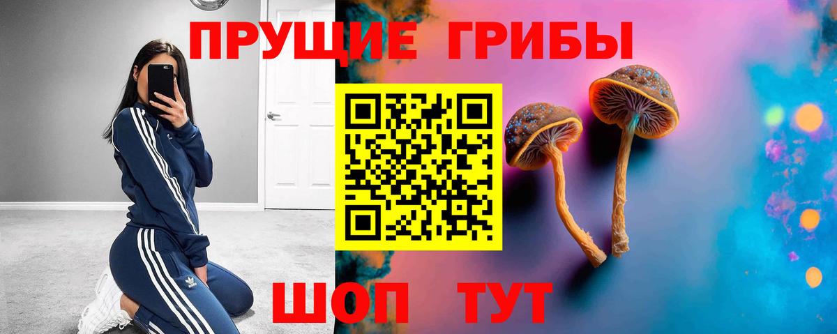 Галлюциногенные грибы прущие грибы Орск