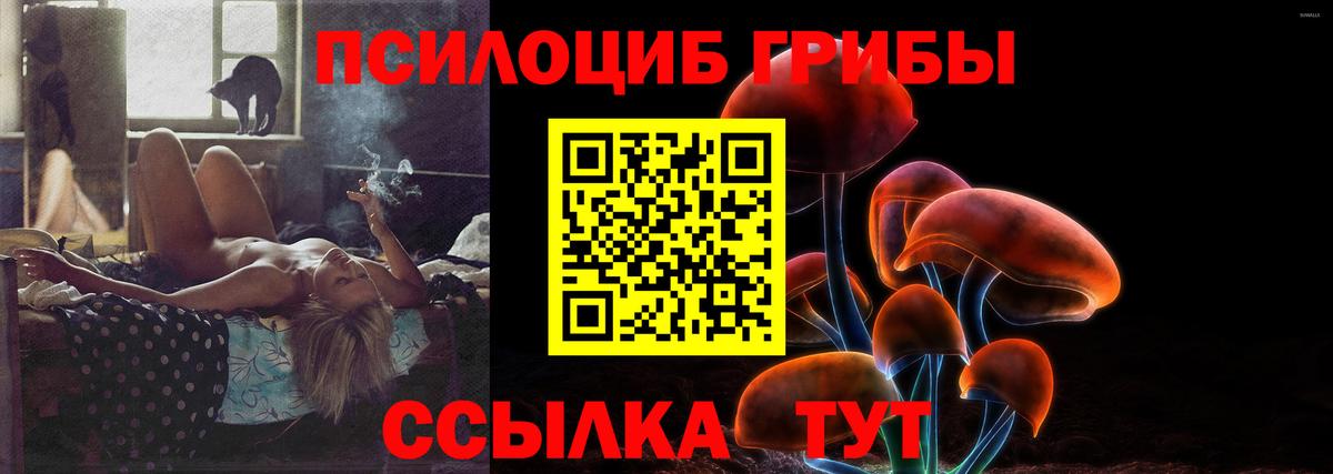 Псилоцибиновые грибы Psilocybe  Галлюциногенные грибы MAGIC MUSHROOMS  Орск  Вход с VPN 